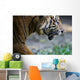 Malayan Tiger Wall Mural