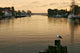 Gull Golden Morning Light Wall Decal