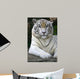 White Tiger Wall Mural