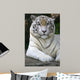 White Tiger Wall Mural