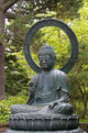 A Japanese statue of the Seated Buddha. Wall Mural