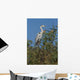 Ash Heron Wall Mural