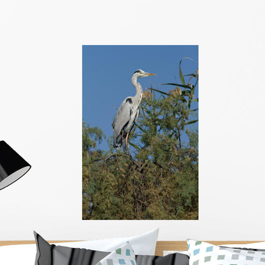 Ash Heron Wall Mural