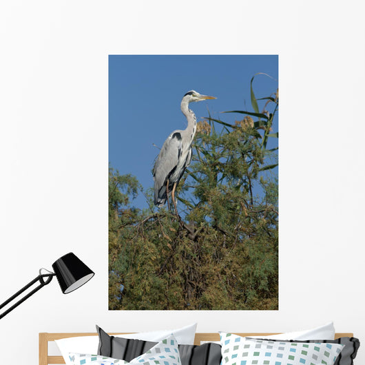 Ash Heron Wall Mural