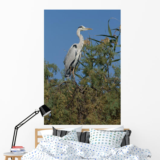 Ash Heron Wall Mural