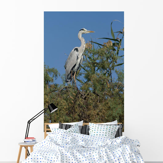 Ash Heron Wall Mural