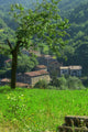 Mountain Village