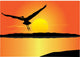 Vector Flying Bird Wall Mural