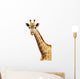 Giraffe portrait Wall Decal