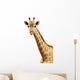 Giraffe portrait Wall Decal