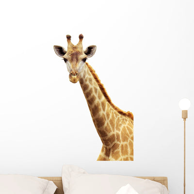 Giraffe Portrait Wall Decal shown on a wall