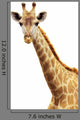 Giraffe portrait Wall Decal