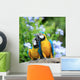 Parrots Couples Wall Mural