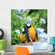 Parrots Couples Wall Mural