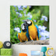 Parrots Couples Wall Mural