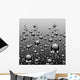 Texture Black Bubbles Effect