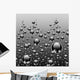 Texture Black Bubbles Effect