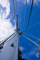 Sailor on top of the mast Wall Mural