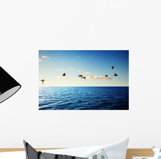 Birds and Caribbean Sea