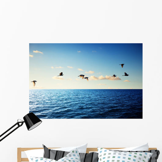 Birds and Caribbean Sea