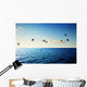 Birds and Caribbean Sea