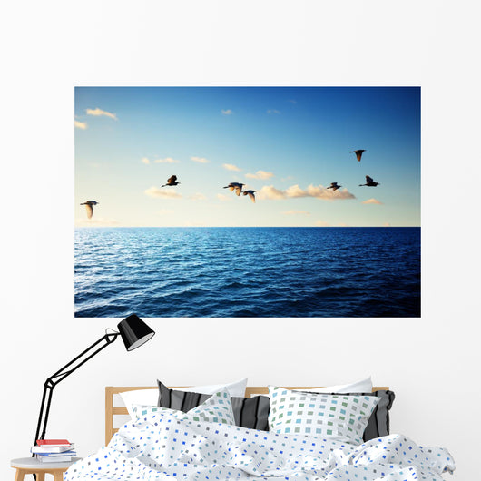 Birds and Caribbean Sea