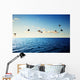 Birds and Caribbean Sea