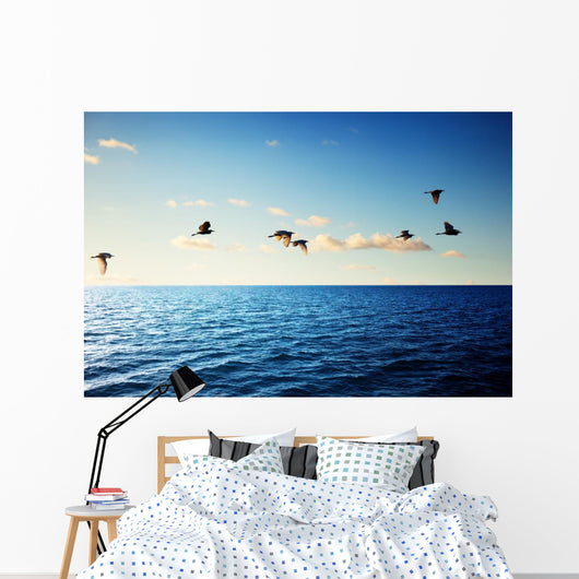 Birds and Caribbean Sea