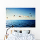 Birds and Caribbean Sea