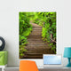 Stairway to Forest