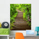 Stairway to Forest