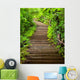 Stairway to Forest