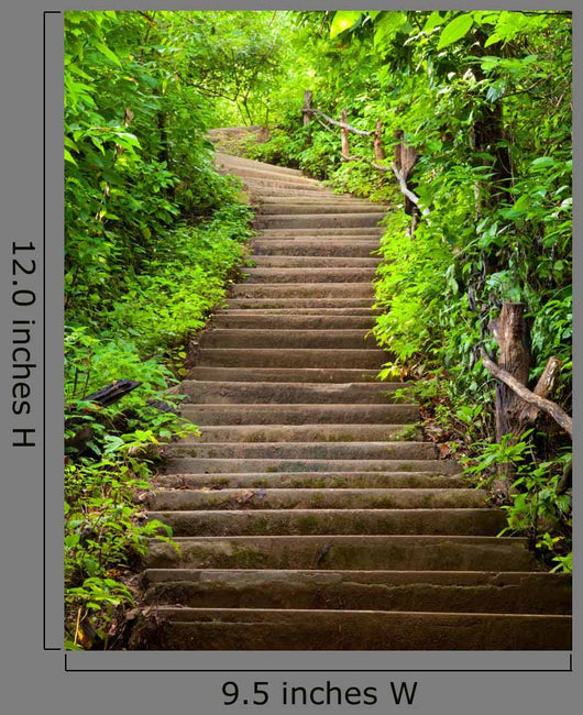 Stairway to Forest