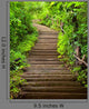 Stairway to Forest