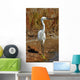 Portrait White Egret Marsh Wall Mural