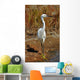 Portrait White Egret Marsh Wall Mural
