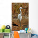 Portrait White Egret Marsh Wall Mural