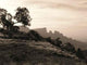 Simien Mountains 2 Wall Decal