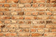 Old and Crumbling Brick Wall - Wall Decal