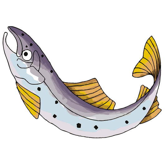 Salmon Wall Decal