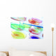 Biology - Petri Boxes Wall Mural
