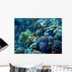 Underwater Landscape with Scalefin Close-up Wall Decal