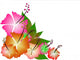 Tropical Illustration Wall Decal