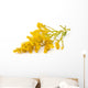 Goldenrod Wall Decal