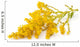 Goldenrod Wall Decal