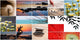 Collage Apaisado Zen