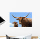 Longhorn Cattle Wall Mural