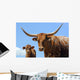 Longhorn Cattle Wall Mural