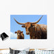 Longhorn Cattle Wall Mural