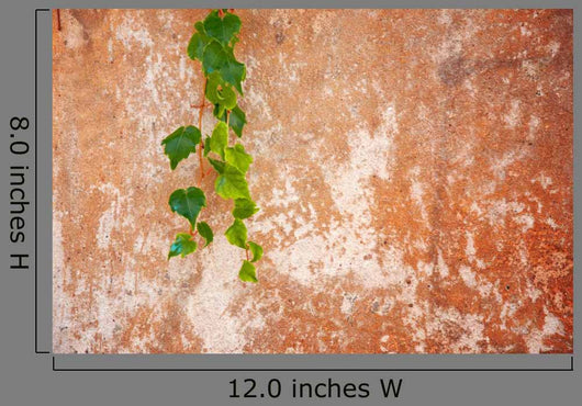 Old Wall